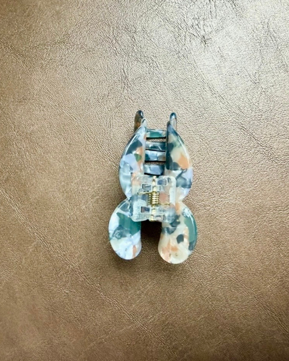 TORTUGA GRIS