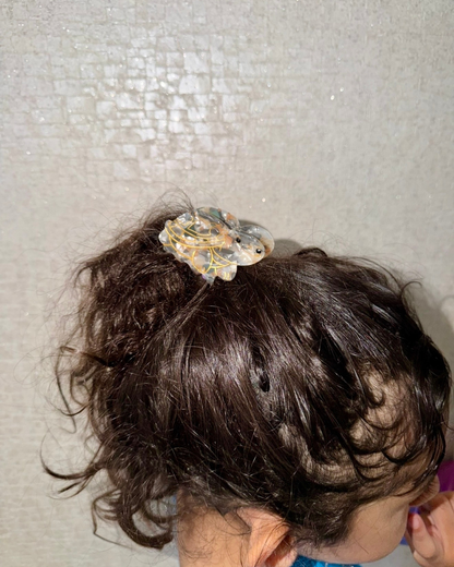 TORTUGA GRIS