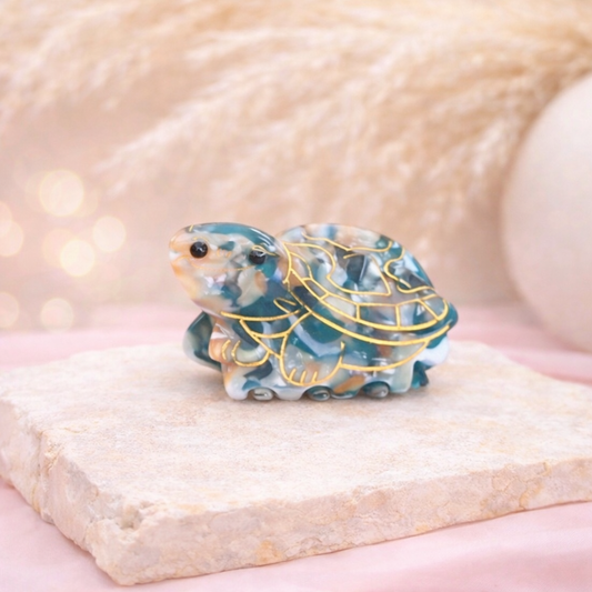 TORTUGA GRIS