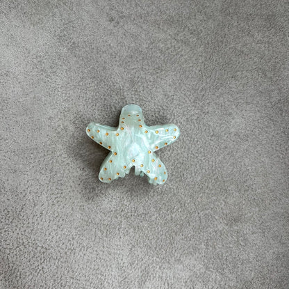 HAIR CLIP ESTRELLA BRILLANTE