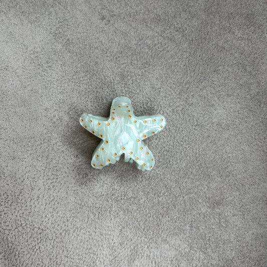 HAIR CLIP ESTRELLA BRILLANTE