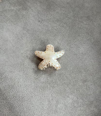 HAIR CLIP ESTRELLA BRILLANTE