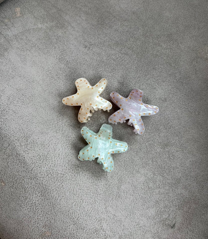 HAIR CLIP ESTRELLA BRILLANTE