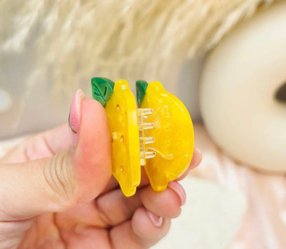 MINI LEMOND