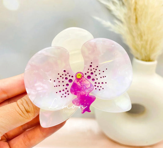 HAIR CLIP 6 DE AGOSTO MEDIANO